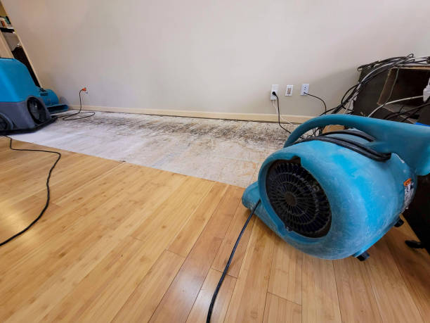 Professional Water Damage Repair technician working in Spring Valley, MN